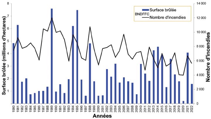Nombre d’incendies de forêt et surface brûlée au Canada de 1980 à 2022 : le nombre d’incendies baisse de quelque 12 000 à moins de 6 000