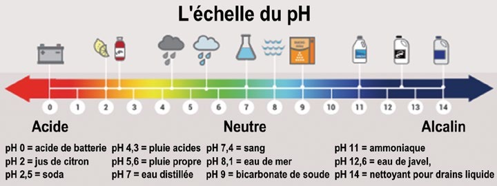 Échelle du pH comparant des substances courantes : l’eau de mer à 8,1 se situe du côté basique