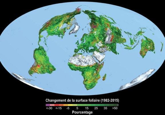 Carte mondiale du changement de surface foliaire de 1982 à 2015 : verdissement sur la majeure partie des terres